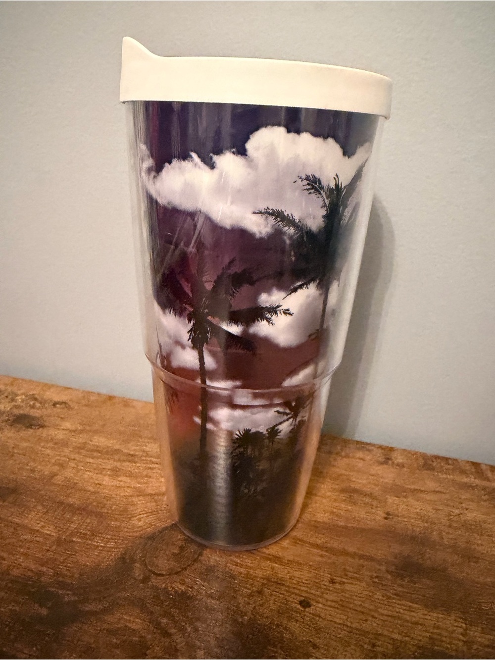 Tervis 24oz Tropical Palm Tree Sunset Insulated Tumbler Cup With Lid Beach